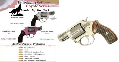 Charter Arms Coyote 9 mm Browning Short kompenzátoros revolver