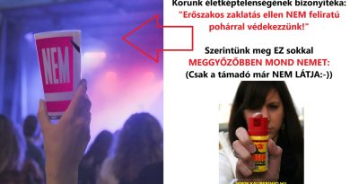 “NEM” feliratú rePOHÁR vs. a mi megoldási javaslatunk. Melyik az ÉLETKÉPESEBBnek tűnő?